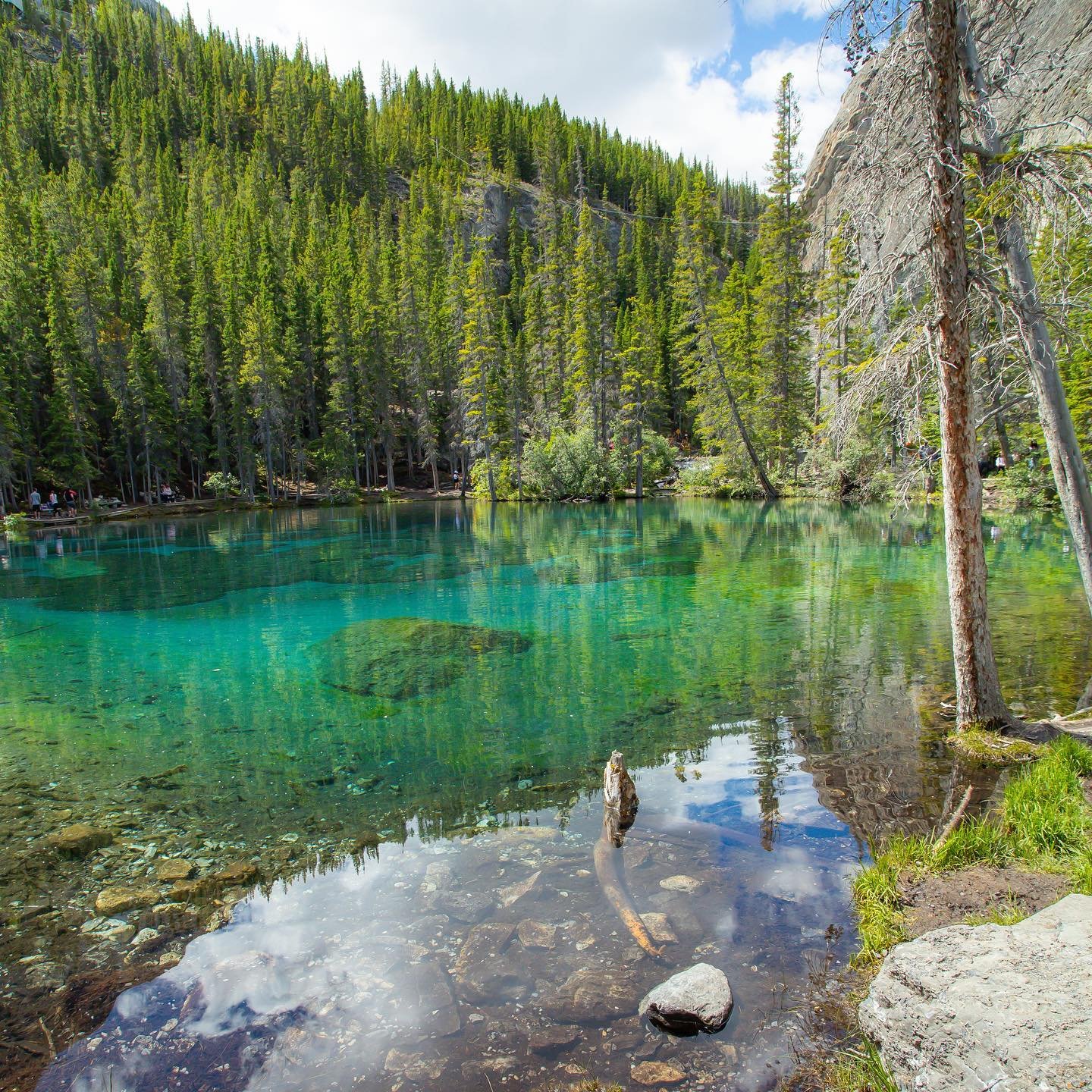 Emerald Waters
•
•
•
•
•
•
#banff #mountain #alberta #canada #roadtrip #clouds #mancliere #mood #travelphotography #yyc #quote #forest #rockymountains #canmore #grassilakes #staycation #hike #trail #emerald #beach #lake #travel