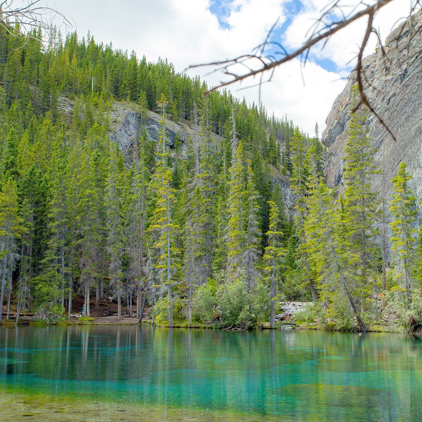 Emerald
•
•
•
•
•
•
#banff #mountain #alberta #canada #roadtrip #clouds #mancliere #mood #travelphotography #yyc #quote #forest #rockymountains #canmore #grassilakes #staycation #hike #trail