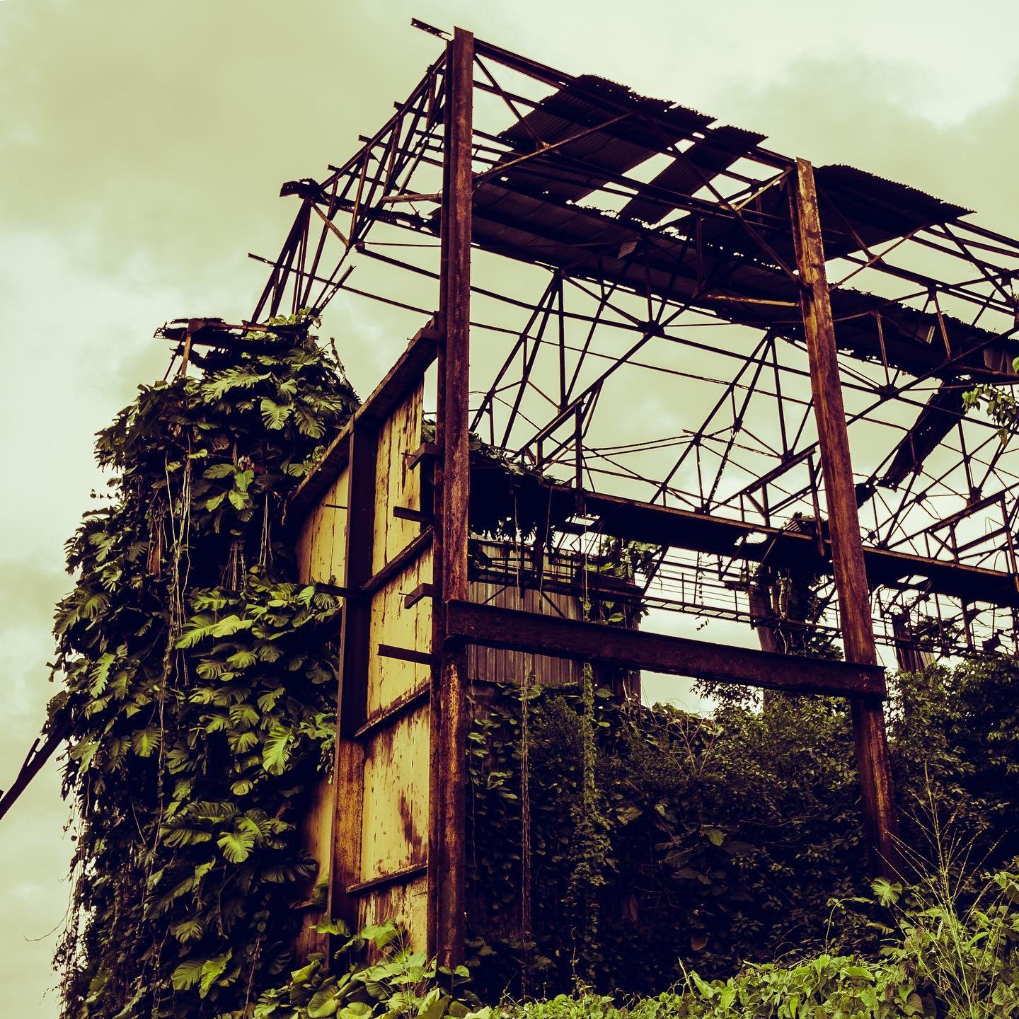 Rebuild
•
•
•
•
•
•
#caraibes #urbanjungle #vintage #canada #roadtrip #clouds #mancliere #mood #travelphotography #fwi #quote #forest #streetphotography #guadeloupe #storm #staycation #carribean #canon #natgeo #beach #tropical #motivation #art