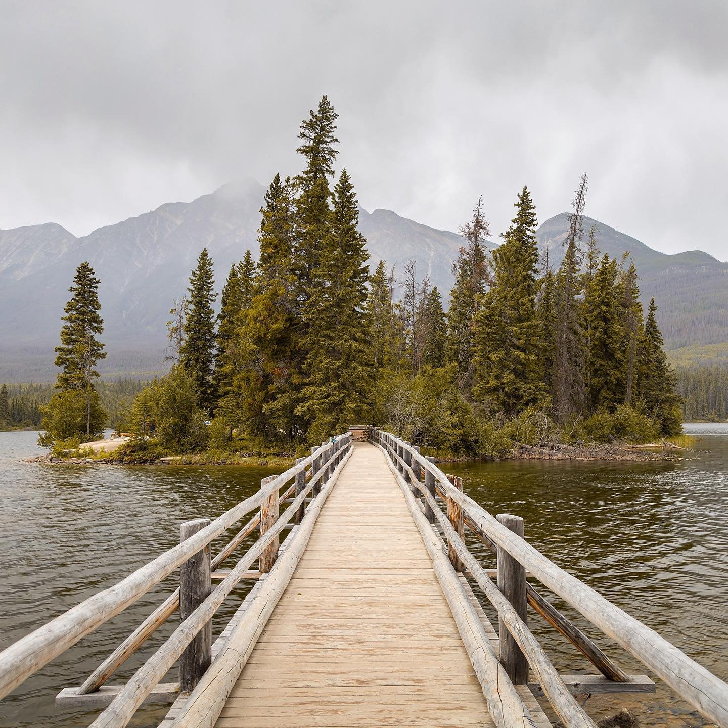 Highland 🗻
•
•
•
•
•
•
#banff #mountain #alberta #canada #roadtrip #wood #mancliere #mood #travelphotography #yyc #forest #rockymountains #canmore #spiritual #staycation #hike #trail #bridge #river #lake #travel #kananaskis #jasper #canon #island